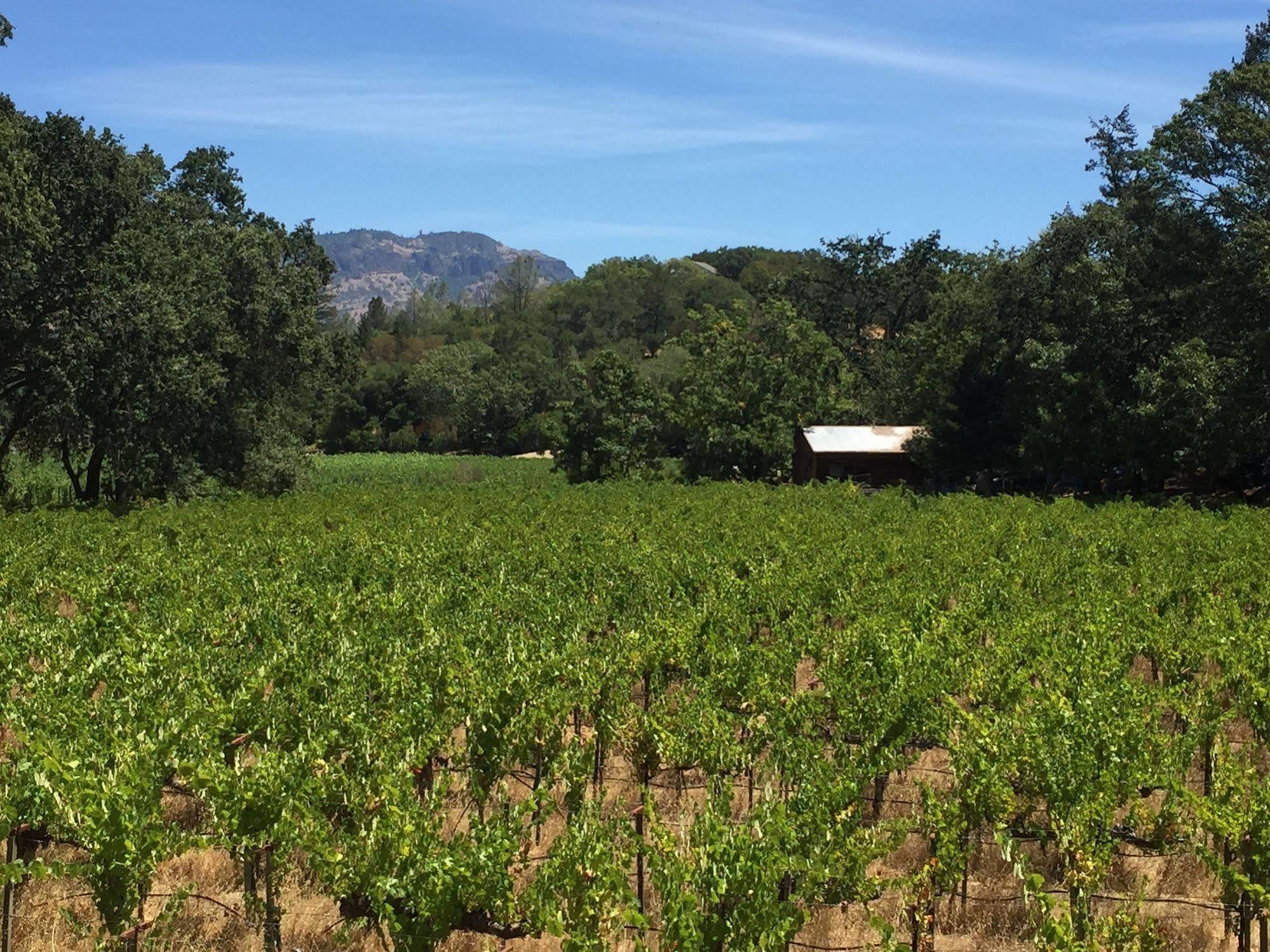 Villa Mimosa Calistoga Eksteriør bilde